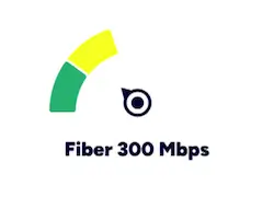 Kinetic Fiber Internet 300 Mbps